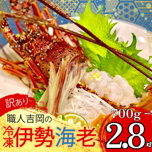 yӂ邳Ɣ[Łz 󂠂 Elg Ⓚ ɐCV Iׂ e  700g 1.4kg 2.8kg TCY  Gr  N CN  hg Ă ` Mtg  蕨 j Ε  m {s 
