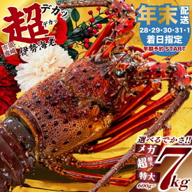 【ふるさと納税】 【年末早期予約受付中】特大 伊勢海老 選べる 容量 600g ～ 7kg 以上 冷凍 特大サイズ 急速冷凍 えび エビ いせえび 高級 鮮魚 海鮮 魚介 刺身 焼き物 汁物 ギフト 贈答 贈り物 お祝い 歳暮 中元 年末 年始 お正月 おせち パーティー 贅沢 国産