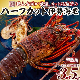 【ふるさと納税】 ハーフカット 伊勢海老 選べる 容量 700g ～ 3.5kg 以上2ピース ～ 10ピース 冷凍 ( 鍋 正月 バーベキュー 急速冷凍 えび エビ 高級 鮮魚 海鮮 魚介 刺身 焼き物 汁物 ギフト 贈答 贈り物 祝い 歳暮 中元 )