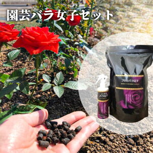 yӂ邳Ɣ[Łz |oqZbg@op̓yǍނƉh{Xv[