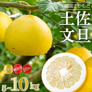 yӂ邳Ɣ[Łz y 2026N 2   z mY yU i p Di ƒp 󂠂 5kg 10kg Ԃ񂽂  lC { k t[c ʕ m { ӂ邳Ɣ[ŕU ӂ邳Ɣ[