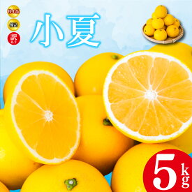 【ふるさと納税】 【2026年4月より発送】 小夏 5kg 特上品 贈答用 優品 家庭用 訳あり 高知県産 早期予約 柑橘 フルーツ 果物 みかん ミカン 蜜柑 こなつ ニューサマーオレンジ 日向夏 期間限定 季節限定 産地直送 高知県 須崎 KJS006