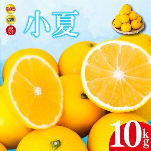 yӂ邳Ɣ[Łz y 2026N4蔭 z  10kg i p Di ƒp 󂠂 mY \ k t[c ʕ ݂ ~J  Ȃ j[T}[IW  Yn