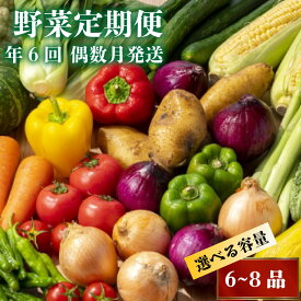 【ふるさと納税】 【早期予約】新鮮お野菜定期便 年 6回 偶数月発送 【2026年2月より順次発送】 旬 野菜 詰め合わせ セット やさい 送料無料 人気 ふるさと納税 野菜 ふるさと納税 定期便 ふるさと納税野菜 ふるさと納税定期便 食品 お楽しみ おすすめ 6ヶ月 旬 NK4000