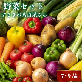 【ふるさと納税】 野菜 7～9品目セット 詰め合わせ 季節 新鮮 旬 産地直送 春夏秋冬 旬 ふるさと納税野菜 ふるさと納税セット ふるさと納税 人気 トマト なす 大根 白菜 ピーマン ブロッコリー かぼちゃ さつまいも 高知県 須崎市 NK001