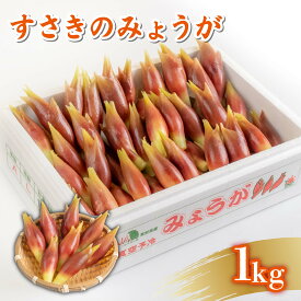 【ふるさと納税】 秀品 A等級 すさきのみょうが 1kg 生産量 日本一 産地直送 かつおのたたき 薬味 高知県 高知 須崎 須崎市 みょうが かつおたたき 藁焼き鰹 カツオ タタキ 鰹 ぽん酢 玉ねぎ ねぎ しょうが 甘酢漬け 味噌汁 冷や汁 そうめん 漬物 冷奴 寿司 うどん 天ぷら