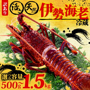 yӂ邳Ɣ[Łz 󂠂 ɐCV VR 500g 1kg 1.5kg CZGr ① l  Yn Gr CV CN  ɐGr ґ  ӂ邳Ɣ[ňɐCV ӂ邳Ɣ[ŊCN ӂ邳Ɣ[