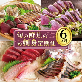 【ふるさと納税】 お刺身 定期便 6回 カツオ 鰹 フィーレ 炙り 刺身 刺し身 丼 寿司 海鮮 魚介 鮮魚 旬 ご飯に合う 米に合う コメに合う 冷蔵 高知県 須崎市 須崎魚商人組合 高知 須崎 GK1000
