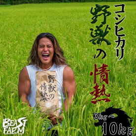 【ふるさと納税】 コシヒカリ 3kg・5kg・10kgから選べる令和7年産 野獣の情熱 8月下旬より発送予定 高知県産 白米 精米 ごはん お米 産地直送 井上農園 ビースト農園 新米コシヒカリ おすすめ 人気 ランキング 贈り物 高知県 須崎市