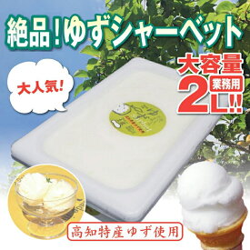 【ふるさと納税】 昔ながらの 柚子 アイスクリーム 業務用 2L 高知アイス ゆず アイスクリン ふるさとの味 ご当地アイス あっさり 爽やか アイス 昔ながらの デザート スイーツ 高知県 須崎市 ICE036