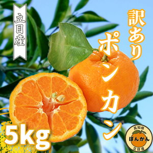 y ӂ邳Ɣ[ z ۂ񂩂 5kg \ 󂠂 ڎY TCY uh k 2026N 1{   ݂ ʕ t[c  ƒp fU[g ӂ邳Ɣ[ m {s