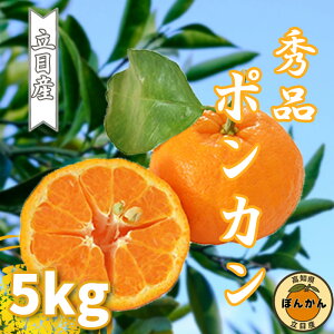 y ӂ邳Ɣ[ z \ ۂ񂩂 5kg Gi ڎY TCY uh  k 2026N 1 {  ݂ ʕ t[c ~ Ԍ  p Mtg v[g  ӂ邳