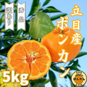 yӂ邳Ɣ[Łz ۂ񂩂 󂠂 Gi 5kg \ ƒp p ڎY TCY uh k 2026N 1{   ʕ t[c ӂ邳Ɣ[ m {s