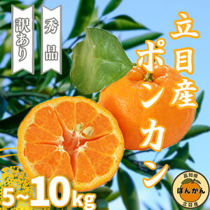 yӂ邳Ɣ[Łz ۂ񂩂 󂠂 Gi 5kg 10kg \ ƒp p ڎY TCY uh k 2026N 1{   ʕ t[c ӂ邳Ɣ[ m {s