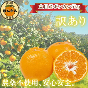 yӂ邳Ɣ[Łz 󂠂 ۂ񂩂 5kg \Jn 1{菇 ۂ񂩂5kg ڎY uh _ TCY k ݂  ƒp t[c ʕ ӂ邳Ɣ[ m {