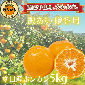 【ふるさと納税】 早期予約開始 1月下旬より順次発送 訳あり 秀品 ぽんかん 立目産 5kg サイズ混合 柑橘 みかん 蜜柑 贈答用 家庭用 高知県 須崎市 フルーツ 果物 ふるさと納税 ふるさと納税