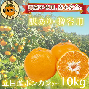 yӂ邳Ɣ[Łz ۂ񂩂 󂠂 Gi 1{菇 \ ڎY 5kg TCY k ݂  p ƒp m {s t[c ʕ ӂ邳Ɣ[ ӂ邳Ɣ[ ۂ