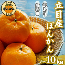 【ふるさと納税】 立目産 ポンカン 選べる 5kg ~ 10 kg 訳あり 贈答用 2026年1月 下旬より順次発送 2026年 収穫分 家庭用 みかん 高知 須崎 KHN001