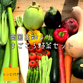 【ふるさと納税】お楽しみ！ 季節の野菜詰め合わせ（6〜8品目）産地直送 〜野菜でお家ごはん〜 レシピ付き！送料無料