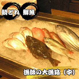 楽天市場 伊勢海老 釣りの通販 楽天市場 伊勢海老 釣りの通販