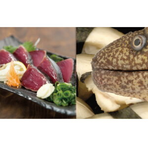 うつぼ 魚介加工品の人気商品 通販 価格比較 価格 Com