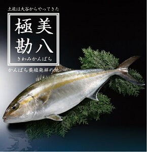 かんぱち 魚の通販 価格比較 価格 Com