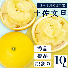 【ふるさと納税】 【 2月上旬から 発送 】 秀品 優品 訳あり 文旦 高知 10kg L ～ 4L サイズ 混合 浦ノ内特産 早期予約 予約受付中 期間限定 季節限定 限定 旬 みかん ミカン ぶんたん 高知県 土佐文旦 柑橘 家庭用 ふるさと納税文旦 ふるさと納税みかん ふるさと納税柑橘