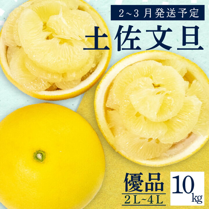 楽天市場】【ふるさと納税】 【 2月 中旬 から 発送 】 文旦 高知 10kg 