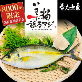 【ふるさと納税】 高級 シマアジ 美粕祇万アジ 250 ～ 500g フィーレ カマ アラ付 高級魚 刺身 刺身用 縞鯵 鯵 海鮮 鮮魚 新鮮 魚介 冷凍 魚 さかな 小分け 高知県 須崎市 SCM001-all