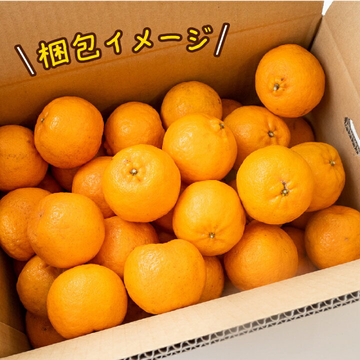 楽天市場】【ふるさと納税】 【レビュー評価4.73】 訳ありぽんかん 2.5 