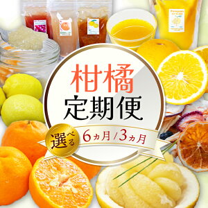 yӂ邳Ɣ[Łz k  3 6 3~6 ʕ W[X W hCt[c I[KjbN h sgp  u[x[  ݂ ۂ񂩂 y U  ͂ ܂