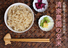 【ふるさと納税】 令和7年産 清家農園 錦米 にこまる 玄米 3kg 5kg 10kg 特別栽培 農薬不使用 米 お米 コメ ニコマル 有機栽培 自然栽培 健康 美味しい おいしい 贈答用 ギフト 贈り物 プレゼント 食品 農産物 地域特産品 高知県産 四国 宿毛市 高知県 10000円~