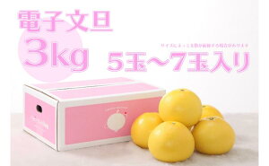 yӂ邳Ɣ[Łz nbs[t[cʎ dqU 3kg p U u^ Ԃ񂽃 k ݂  ʕ t[c 蕨 Mtg Ε  mY Yn Î_ς VN 