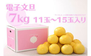 yӂ邳Ɣ[Łznbs[t[cʎ̓dqU7kgp