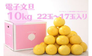 yӂ邳Ɣ[Łz nbs[t[cʎ dqU 10kg p U Ԃ񂽂 u^ k ݂ ʕ t[c Mtg 蕨 Ε  mY Yi Yn { G ~ Â 