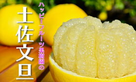 【ふるさと納税】 2026年先行予約 訳あり 土佐文旦 家庭用 5kg ハッピーフルーツ果樹園 文旦 ぶんたん ブンタン 柑橘 みかん フルーツ 果物 高知県産 特産品 名産 旬 季節 贈り物 ギフト お歳暮 お中元 産地直送 安心安全 自然栽培 農家 美味しい 宿毛市 人気 9000円