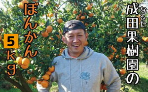 yӂ邳Ɣ[Łz cʎ ۂ񂩂 5kg ƒp k ݂ Â ʕ t[c 蕨 Mtg ~ { r^~C ʏ` ݂W[X k Mq fR| ɗ\ ͂ sm I