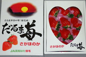 【ふるさと納税】だるま苺（さがほのか）化粧箱　いちご 大粒 フルーツ 果物 贈答 ギフト スイーツ こだわり 冷蔵 JA 農協 高知 だるま夕日 20000円