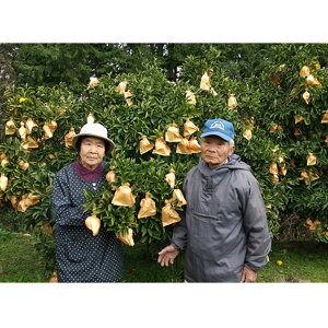 �y�ӂ邳�Ɣ[�Łz �� �䂢 �ʎ��� ���������� 5kg �ƒ�p ���k �݂��� �t���[�c �ʕ� ���m���Y ���Y �Â� �u�₩ ���� ���蕨 �M�t�g �ґ� ���Y�i �n��x�� �Y�n���� �{ ���R�̌b�� �G�ߌ��� �V