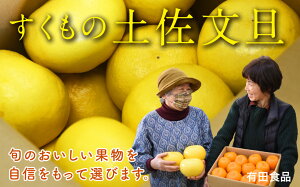 yӂ邳Ɣ[ŁzLcHi̓yU10kgƒp(MTCY)