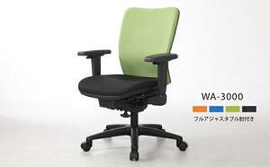 yӂ邳Ɣ[ŁzEHg`FA@WA-3000itAWX^uItj