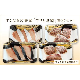 【ふるさと納税】 【小分けでお届け】 すくも湾干物セット 8パック 魚 海産物 特産品 詰め合わせ ギフト プレゼント 真鯛 アジ サバ カレイ ヒラメ イワシ 真空パック 冷凍 保存 おかず おつまみ 惣菜 朝食 夕食 鮮度 国産 天日干し 干物 一夜干し 宿毛市 高知県 12000円