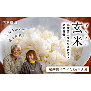 yӂ邳Ɣ[Łz  yf 3.9{ _ GLX  5kg×3 ʍ͔| _sgp ~j N yHi  I[KjbN RHi h{ _CGbg Ɖu Y   R  