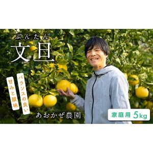yӂ邳Ɣ[Łz _ yU 5kg ƒp U u^ Ԃ񂽂 k k ݂ t[c ʕ ʎ Yi Yn p Mtg 蕨  mY l { G