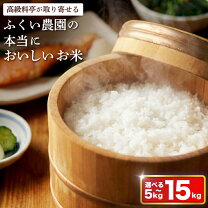 楽天市場】令和6年 新米 10kgの通販