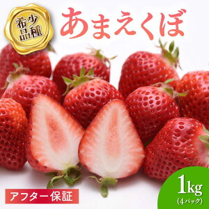 yӂ邳Ɣ[Łz y2026N1-3z At^[ۏ Iׂ e  250g ~1kg VN ① C`S   ʕ XC[c ʌ Ԍ ܂ 󏭕i  Mtg v[