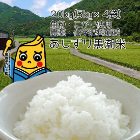 【ふるさと納税】令和5年産 あしずり黒潮米20kg（5kg×4袋）10キログラム 【コシヒカリ】 こしひかり 精米 白米 ブランド米 銘柄米 お米 おコメ 米 こめ ご飯 ごはん おにぎり おいしい 美味しい ギフト 高知県 高知 土佐清水 故郷納税 ふるさとのうぜい 返礼品【R00650】