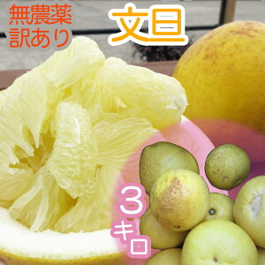 yӂ邳Ɣ[Łzstߘa8N3@y󂠂z U 3L 3kg _sgp n k ݂ ʕ ʎ TCY s Ԃ񂽂 u^ U{ Â  p y t