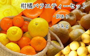 ふるさと納税 みかん 5kgの人気商品 通販 価格比較 価格 Com