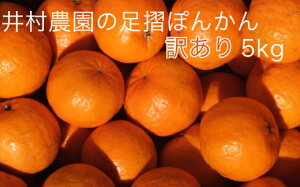 ふるさと納税 みかん 5kgの人気商品 通販 価格比較 価格 Com